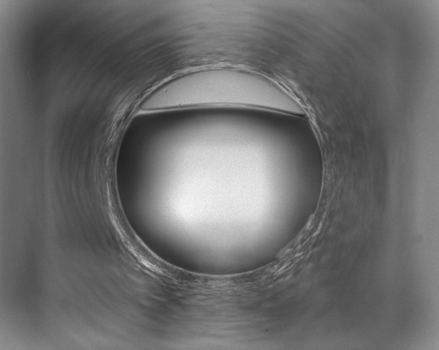 X0000073840097200608101038