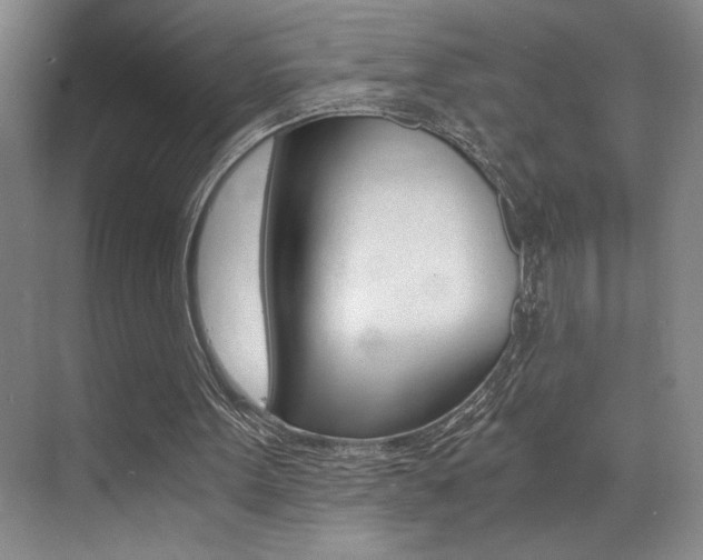 X0000073840099200608101038