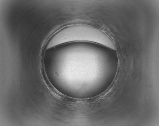 X0000073840101200608101038