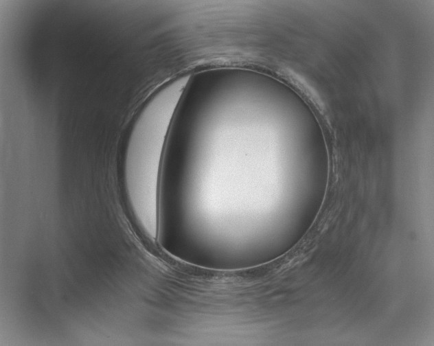 X0000073840105200608101038