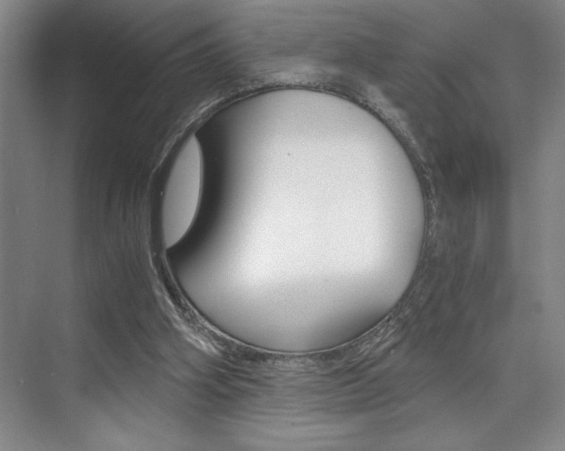 X0000073840106200608101038