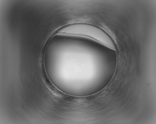 X0000073840107200608101038