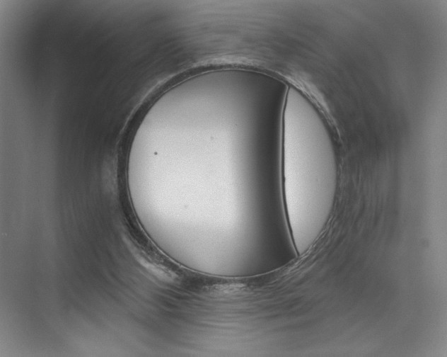 X0000073840108200608101037