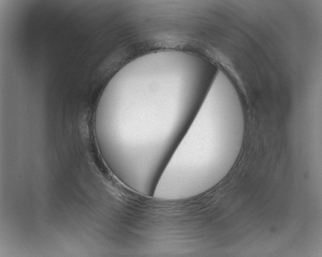 X0000073840114200608101037
