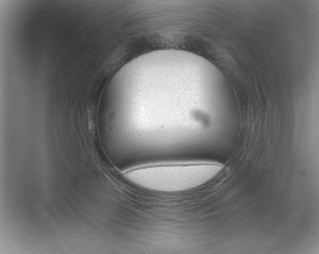 X0000073840131200608101037