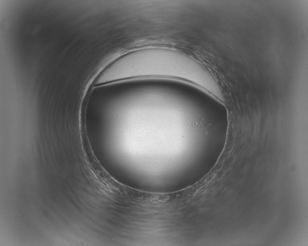X0000073840148200608101036