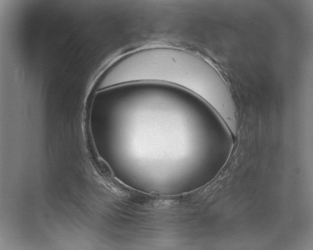 X0000073840152200608101036