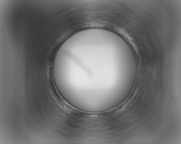 X0000073840153200608101036