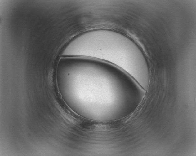 X0000073840154200608101036