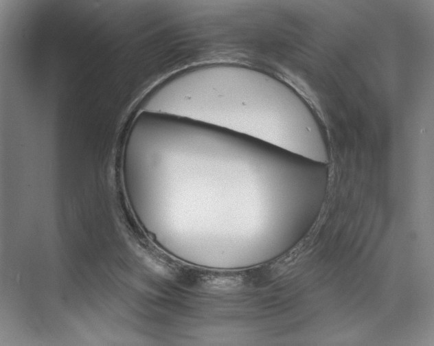 X0000073840155200608101036