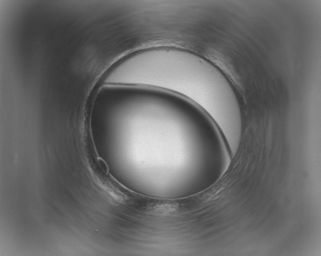 X0000073840156200608101036