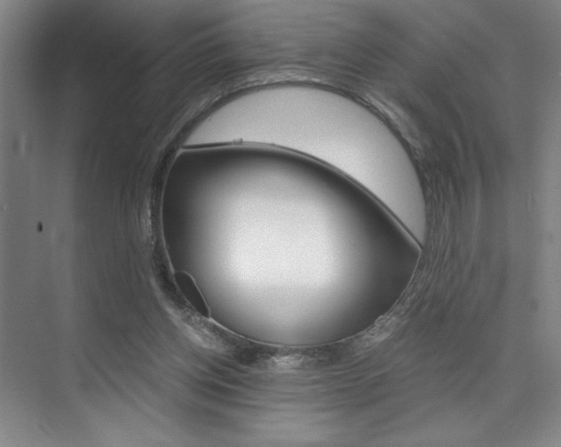 X0000073840158200608101036