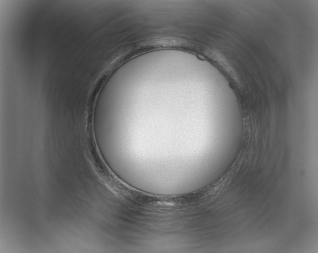 X0000073840159200608101036