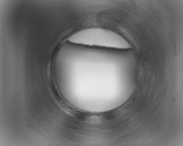 X0000073840163200608101036