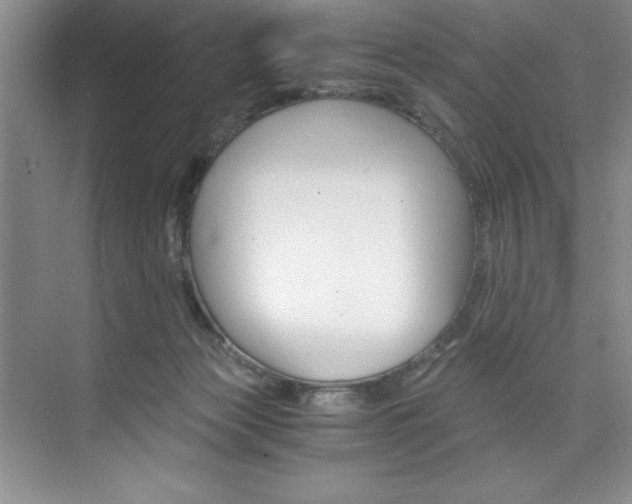 X0000073840173200608101037