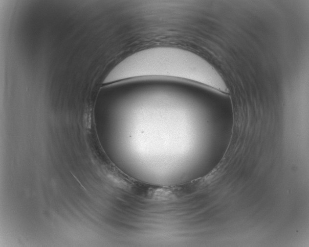 X0000073840180200608101037