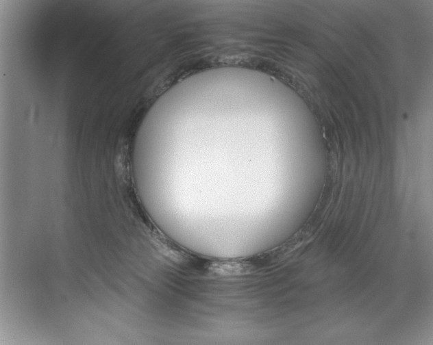 X0000073840181200608101037