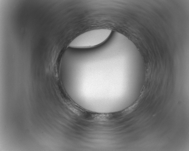 X0000073840182200608101037