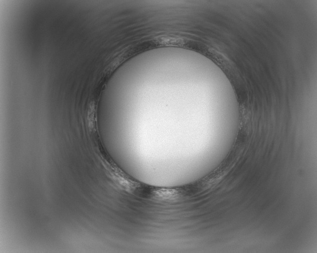 X0000073840189200608101037