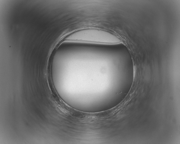X0000073840195200608101036