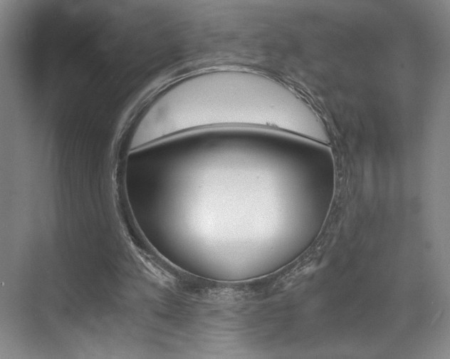 X0000073840197200608101036
