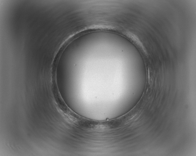 X0000073840204200608101036