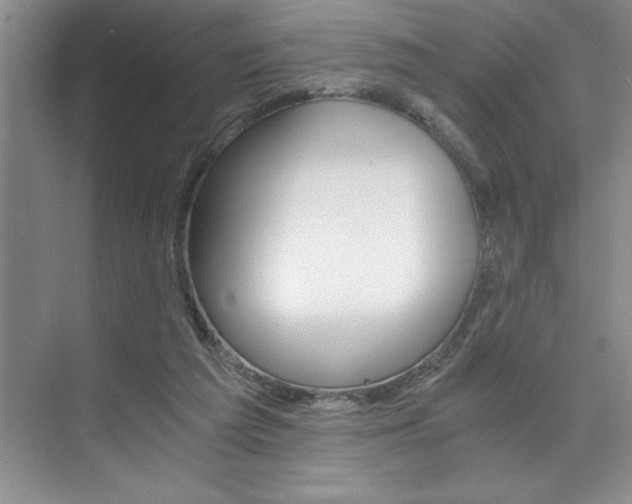 X0000073840209200608101036