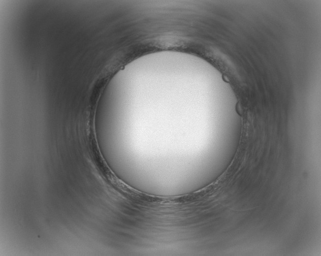 X0000073840210200608101036
