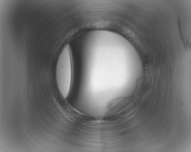 X0000073840212200608101036