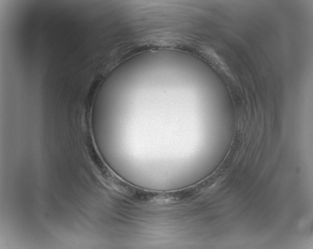 X0000073840213200608101036