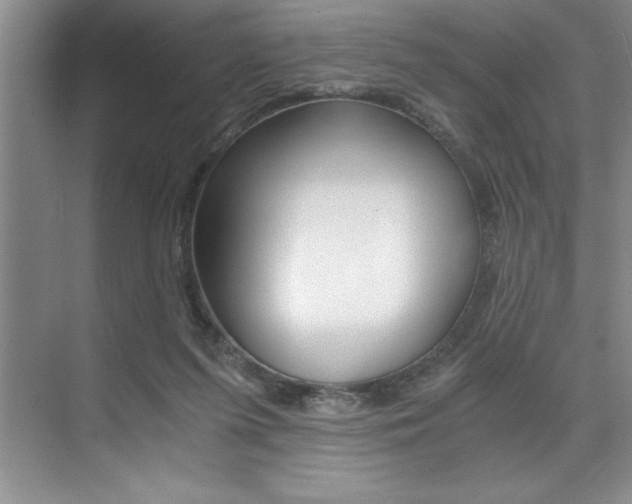 X0000073840215200608101036