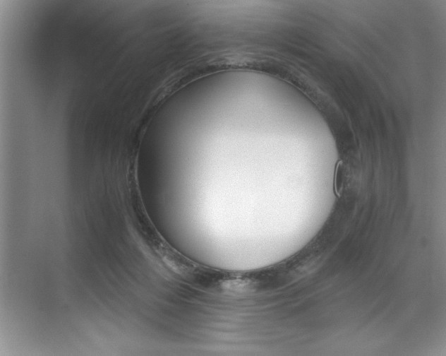 X0000073840216200608101036