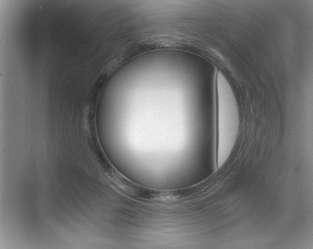 X0000073840217200608101036
