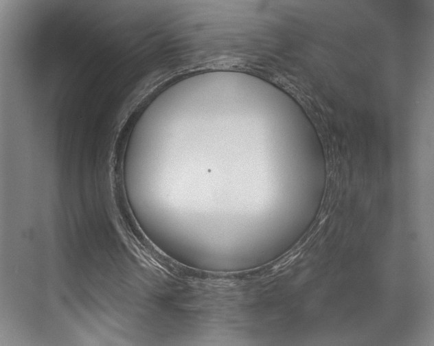 X0000073840242200608101034