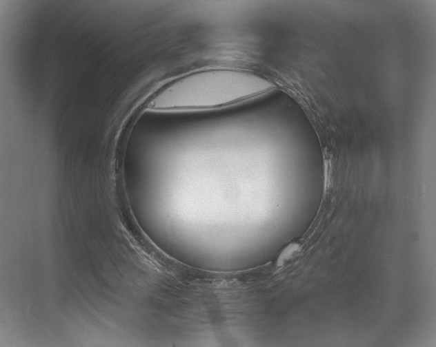 X0000073840243200608101034