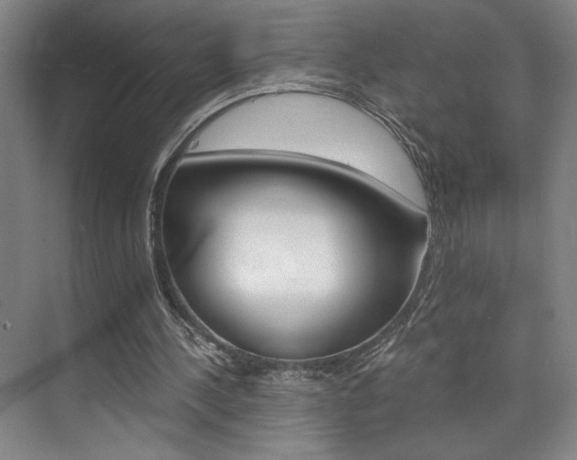 X0000073840244200608101034