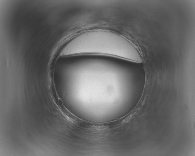 X0000073840245200608101034