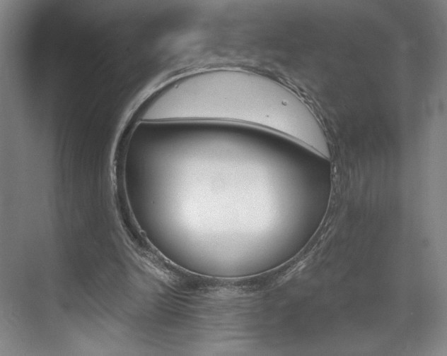 X0000073840246200608101035