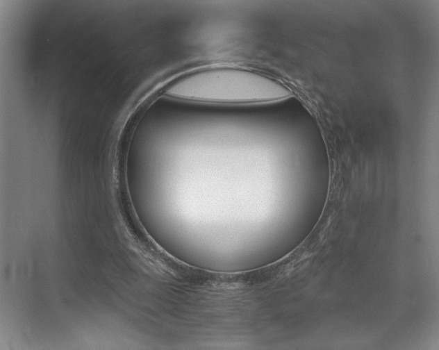 X0000073840247200608101035