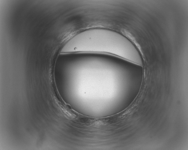 X0000073840249200608101035
