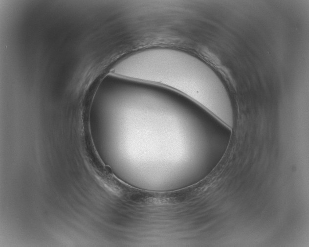 X0000073840250200608101035