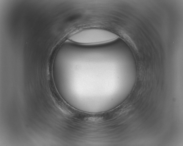 X0000073840251200608101035