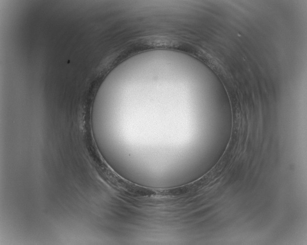 X0000073840255200608101035