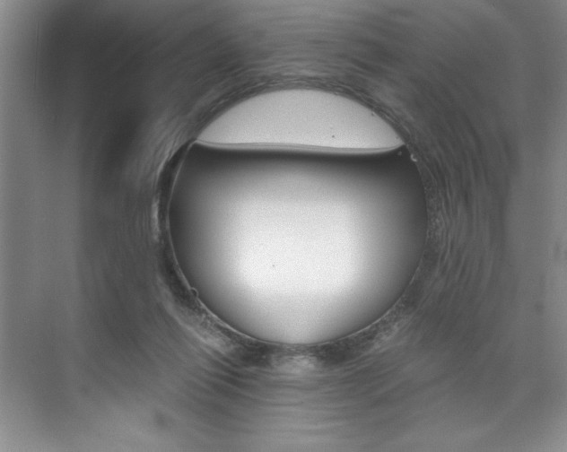 X0000073840262200608101035