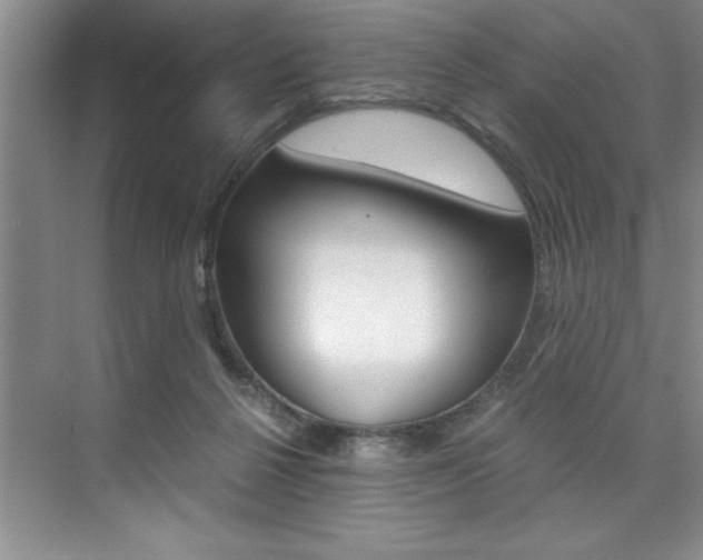 X0000073840264200608101035