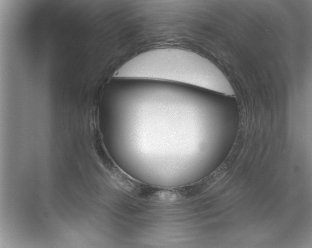 X0000073840272200608101035