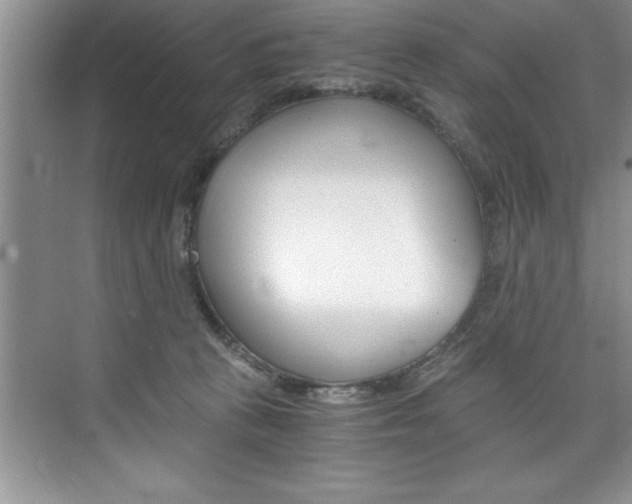 X0000073840273200608101035