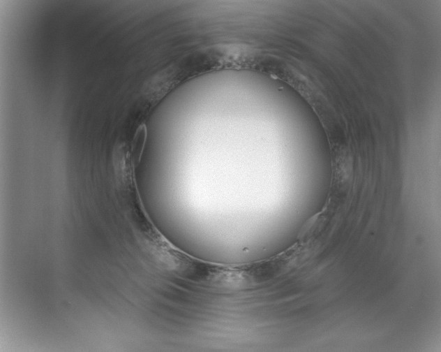 X0000073840276200608101035