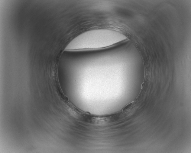 X0000073840277200608101035