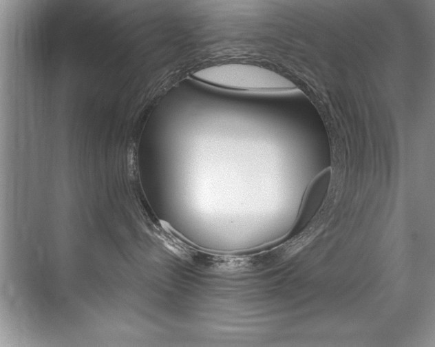 X0000073840288200608101035
